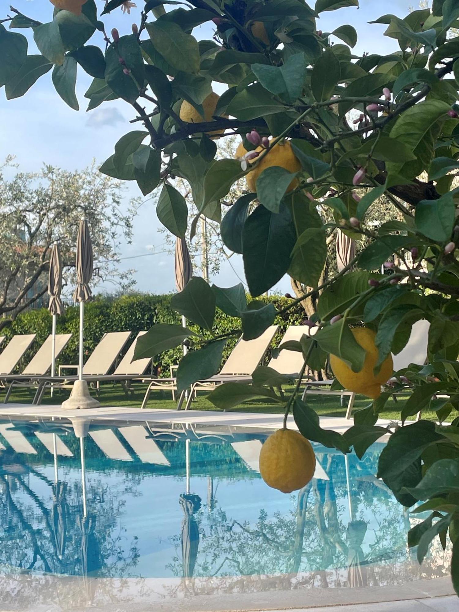 Hotel Al Sole Bardolino Eksteriør billede